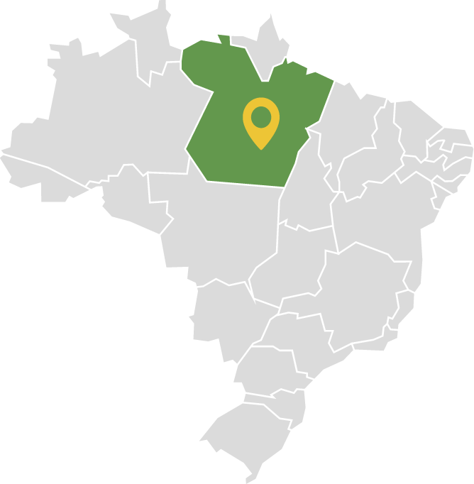 Mapa do Brasil